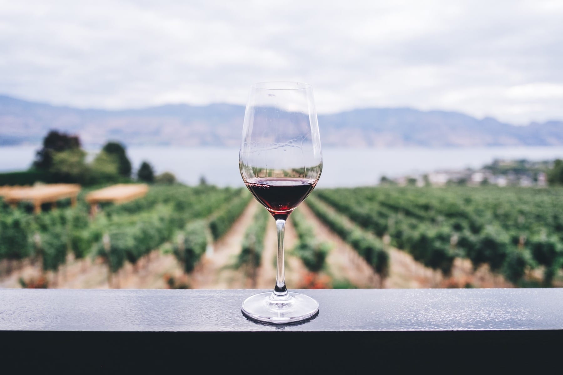 Wine. A lesson on mindfulness