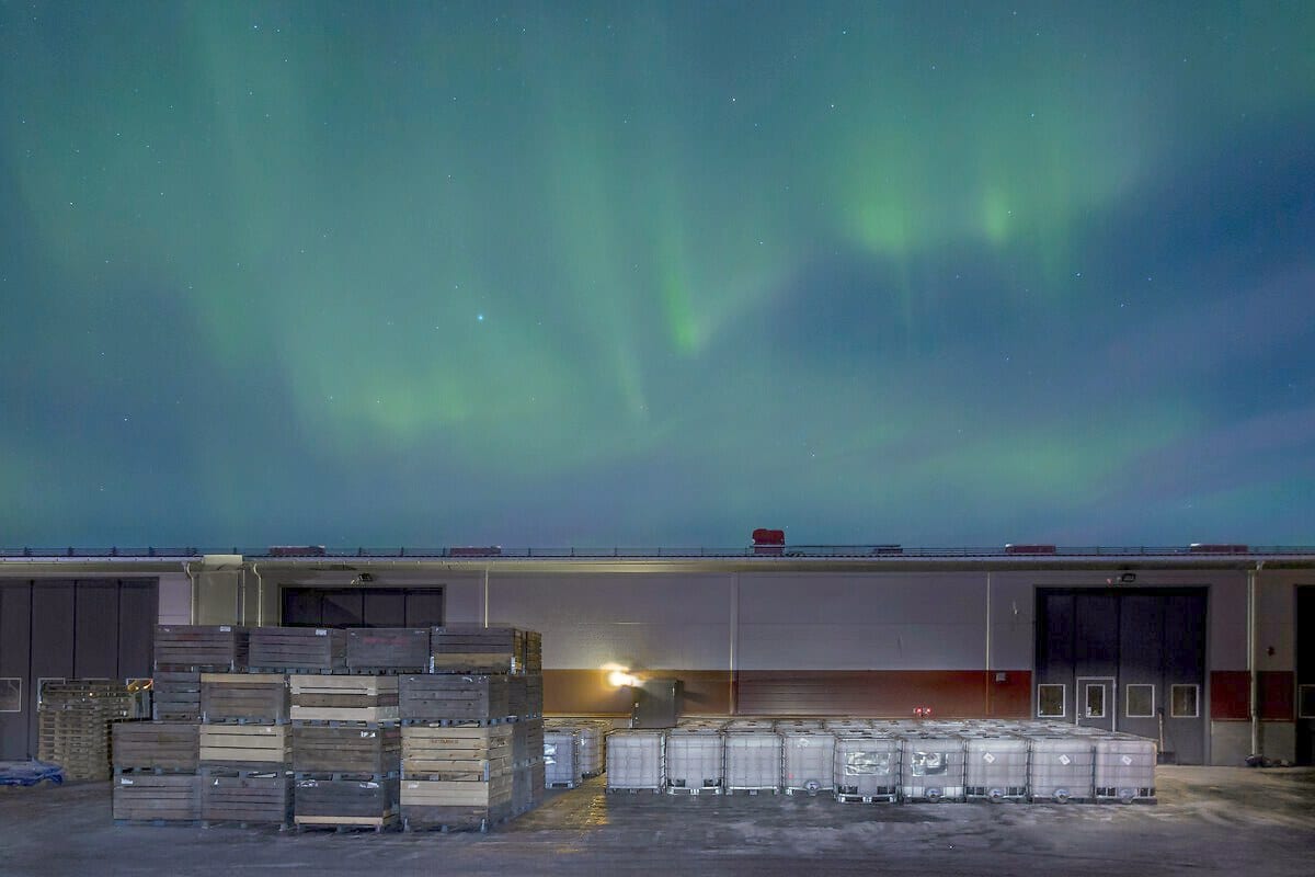 Aurora borealis at Brännland Ciders