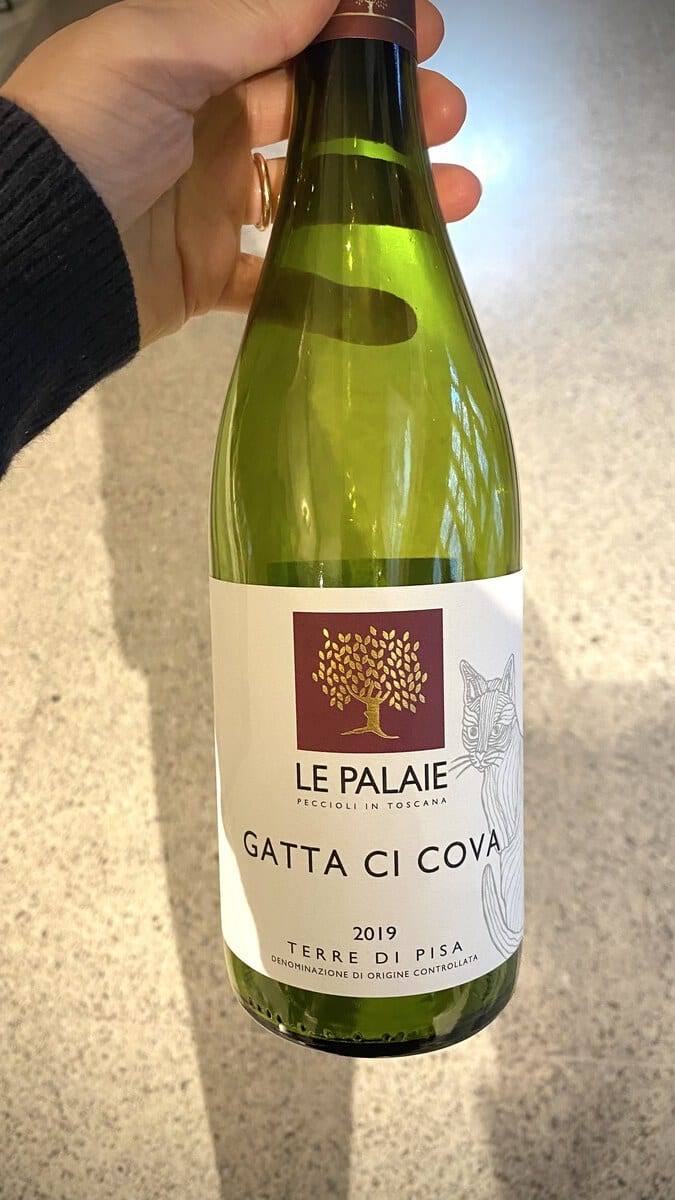 Le Palaie "Gatta Ci Cova" 2019