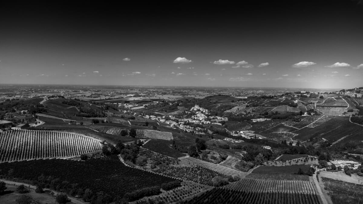 Oltrepò Pavese landscape