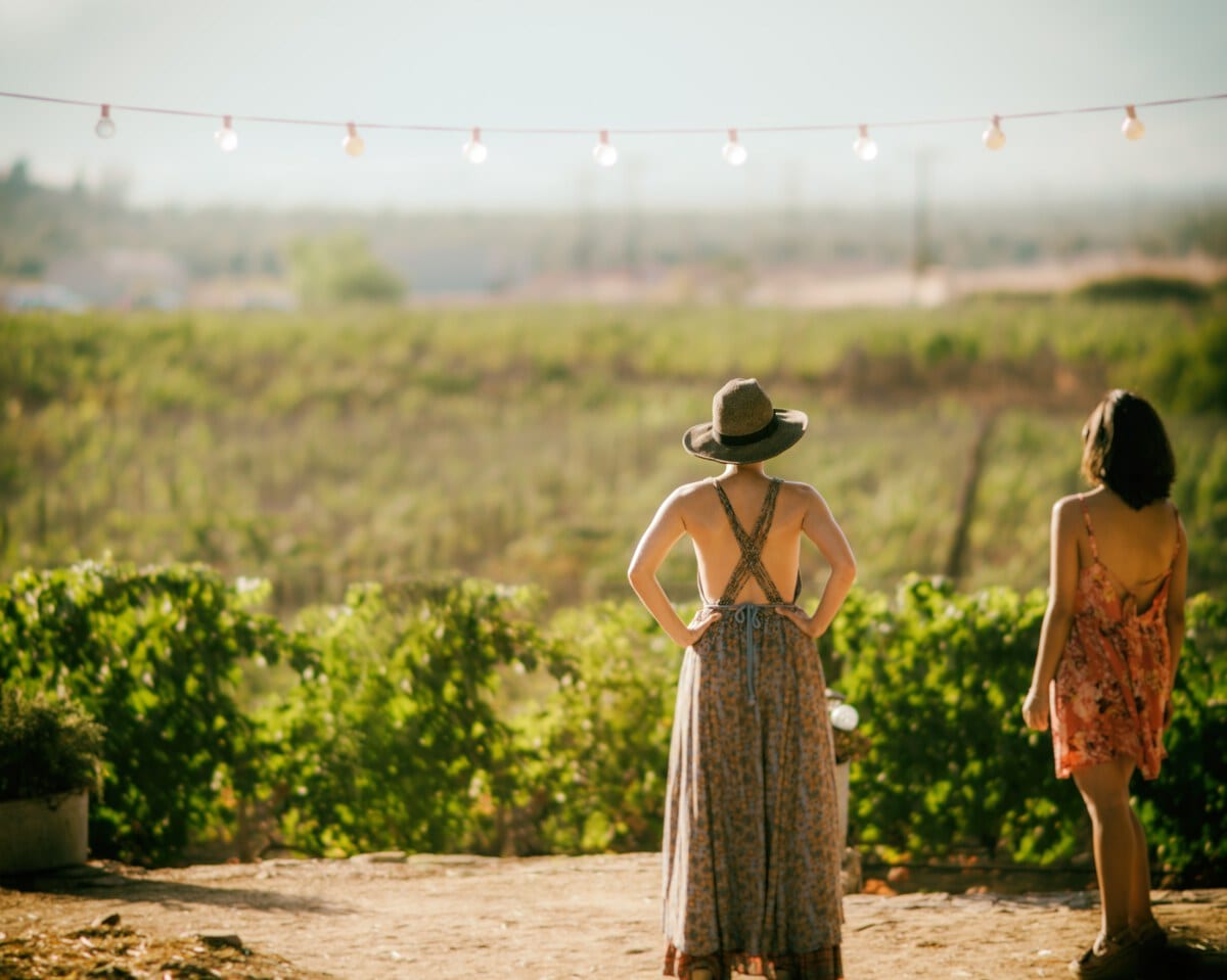 Visiting a winery